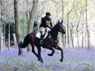 Ardfield 3* Ballinhassig